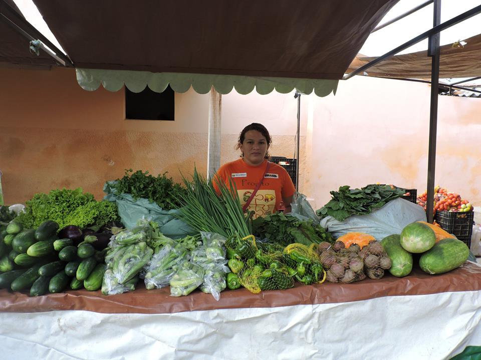 BARRACA DE FEIRA 2.jpg